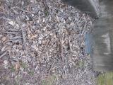 image of grave number 759892